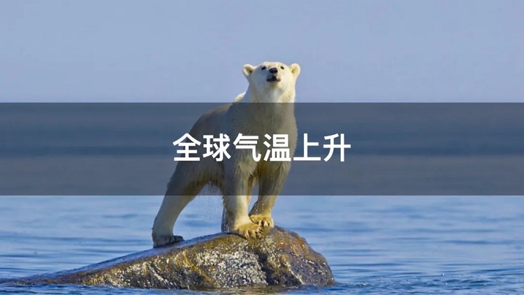 螞蟻商聯攜手金好來超市發(fā)起“以竹代木，翠我山河”植樹節(jié)活動，從改變生活習慣開始！喊你為公益接力~